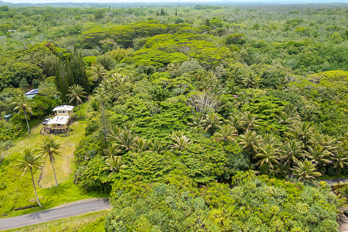 81 Government Beach Road Pahoa, HI 96778 - Photo 23 of 30