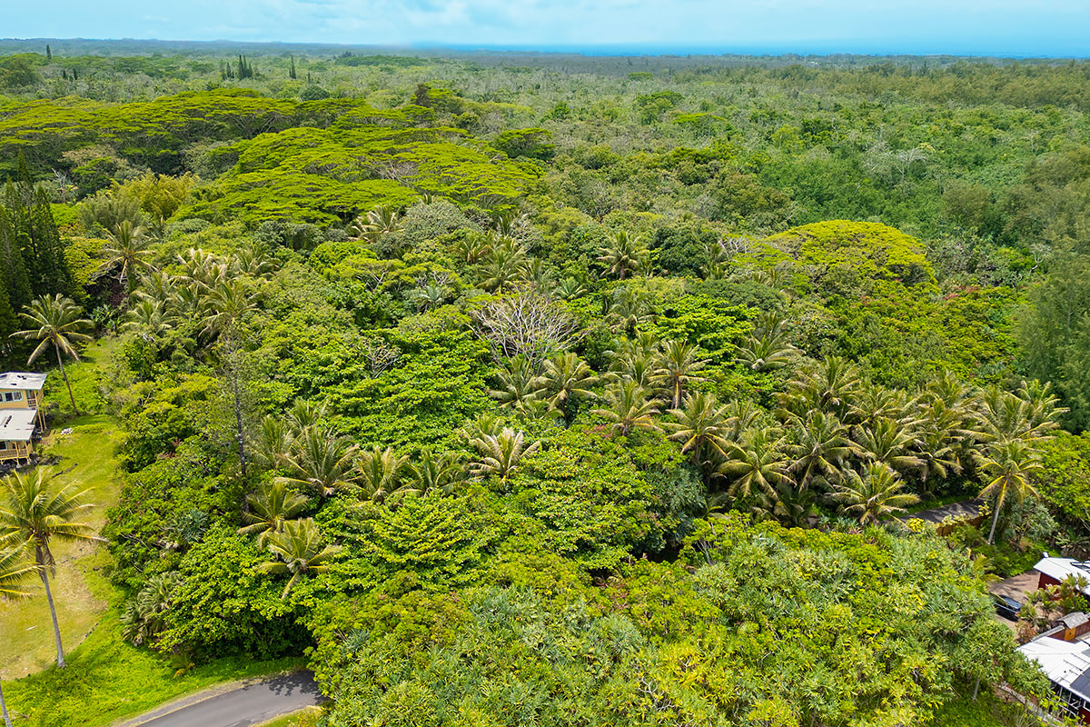 81 Government Beach Road Pahoa, HI 96778 - Photo 25 of 30