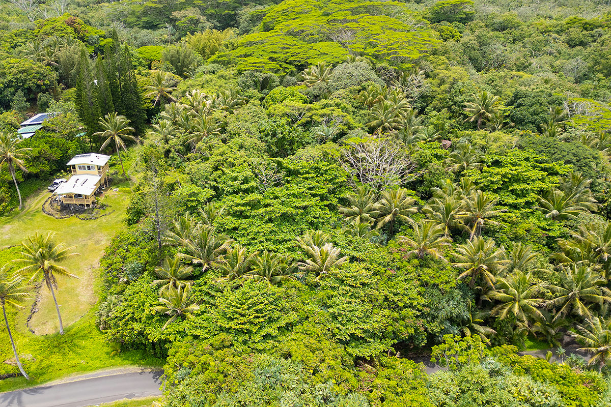 81 Government Beach Road Pahoa, HI 96778 - Photo 26 of 30