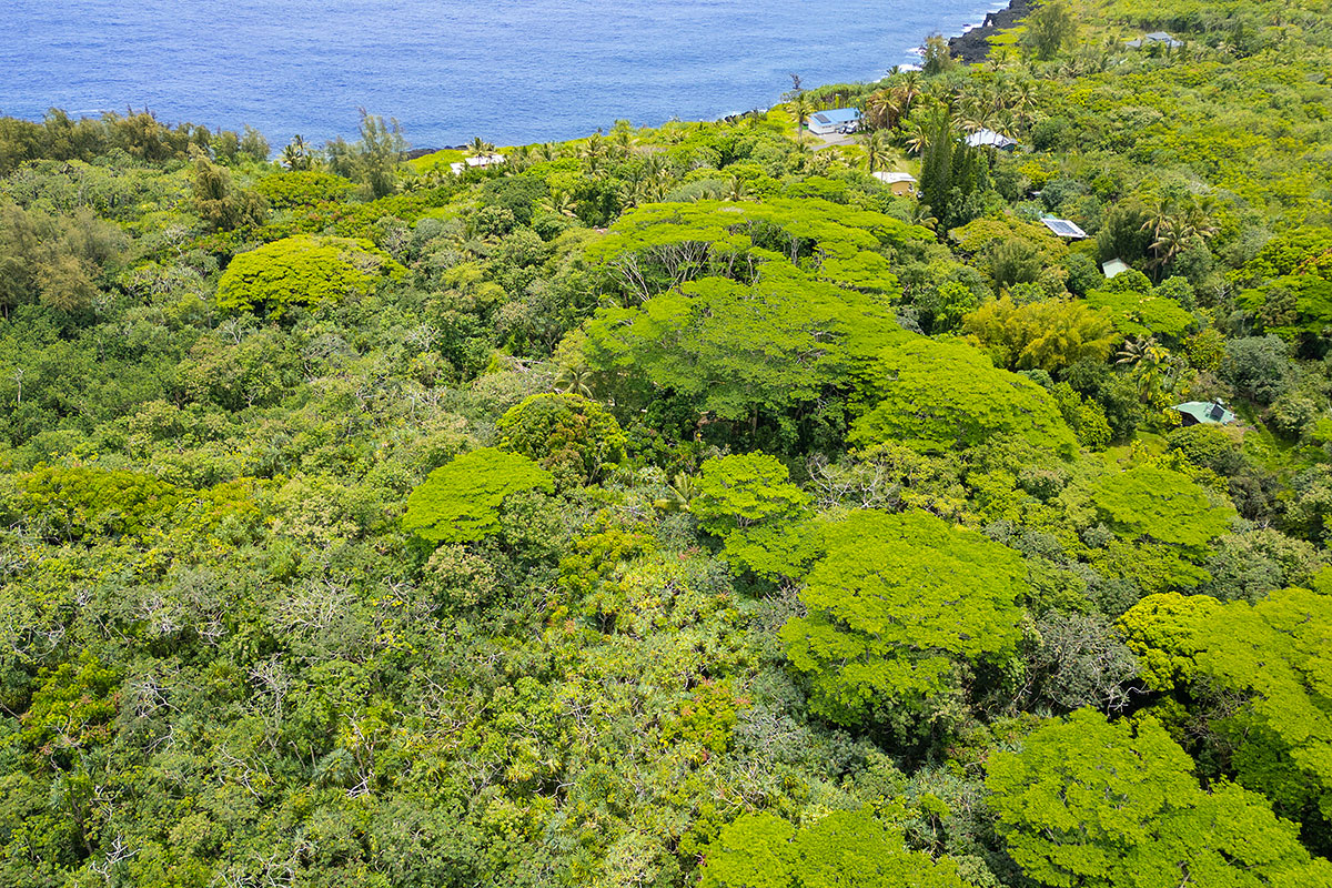 81 Government Beach Road Pahoa, HI 96778 - Photo 27 of 30