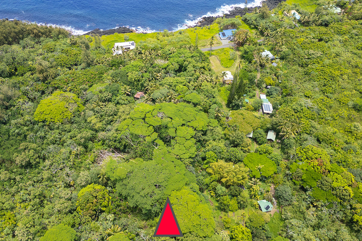 81 Government Beach Road Pahoa, HI 96778 - Photo 29 of 30