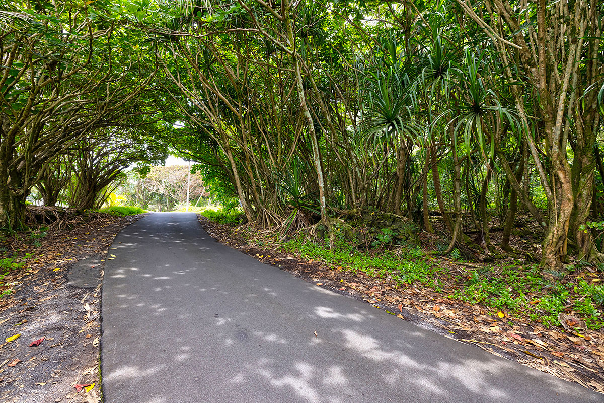 81 Government Beach Road Pahoa, HI 96778 - Photo 6 of 30