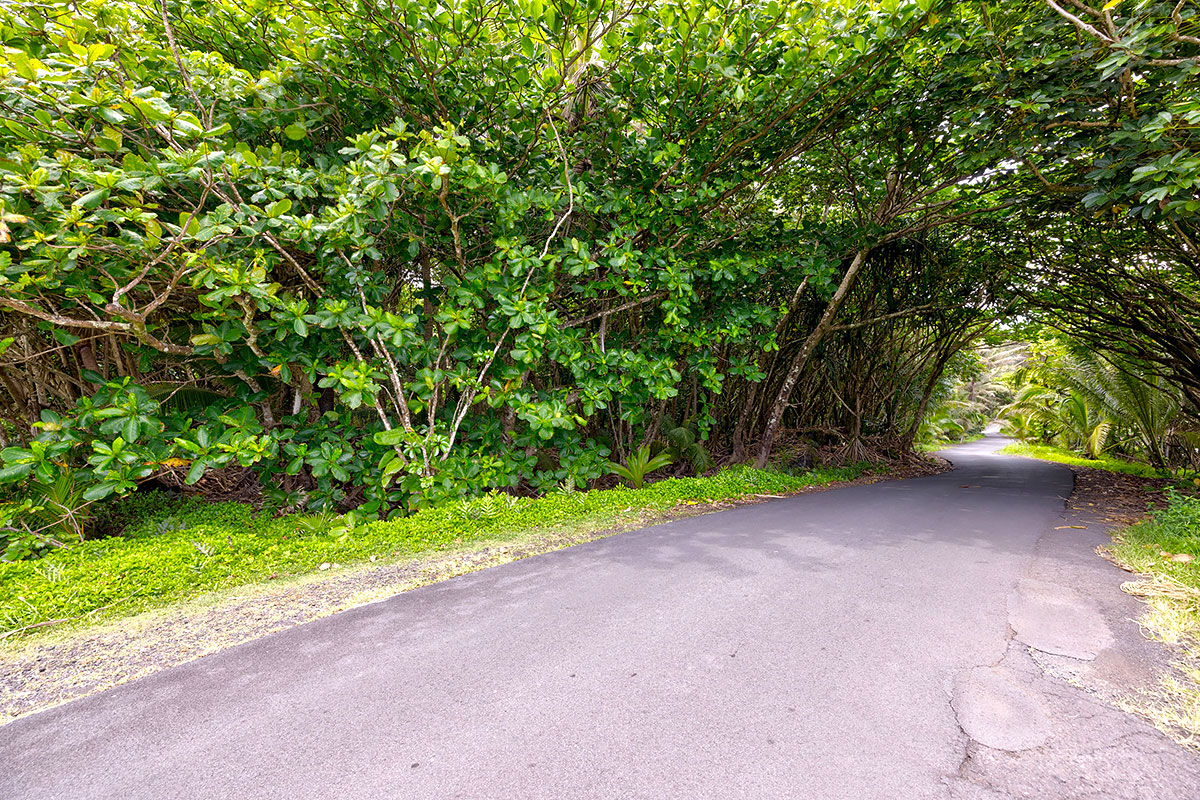 81 Government Beach Road Pahoa, HI 96778 - Photo 7 of 30