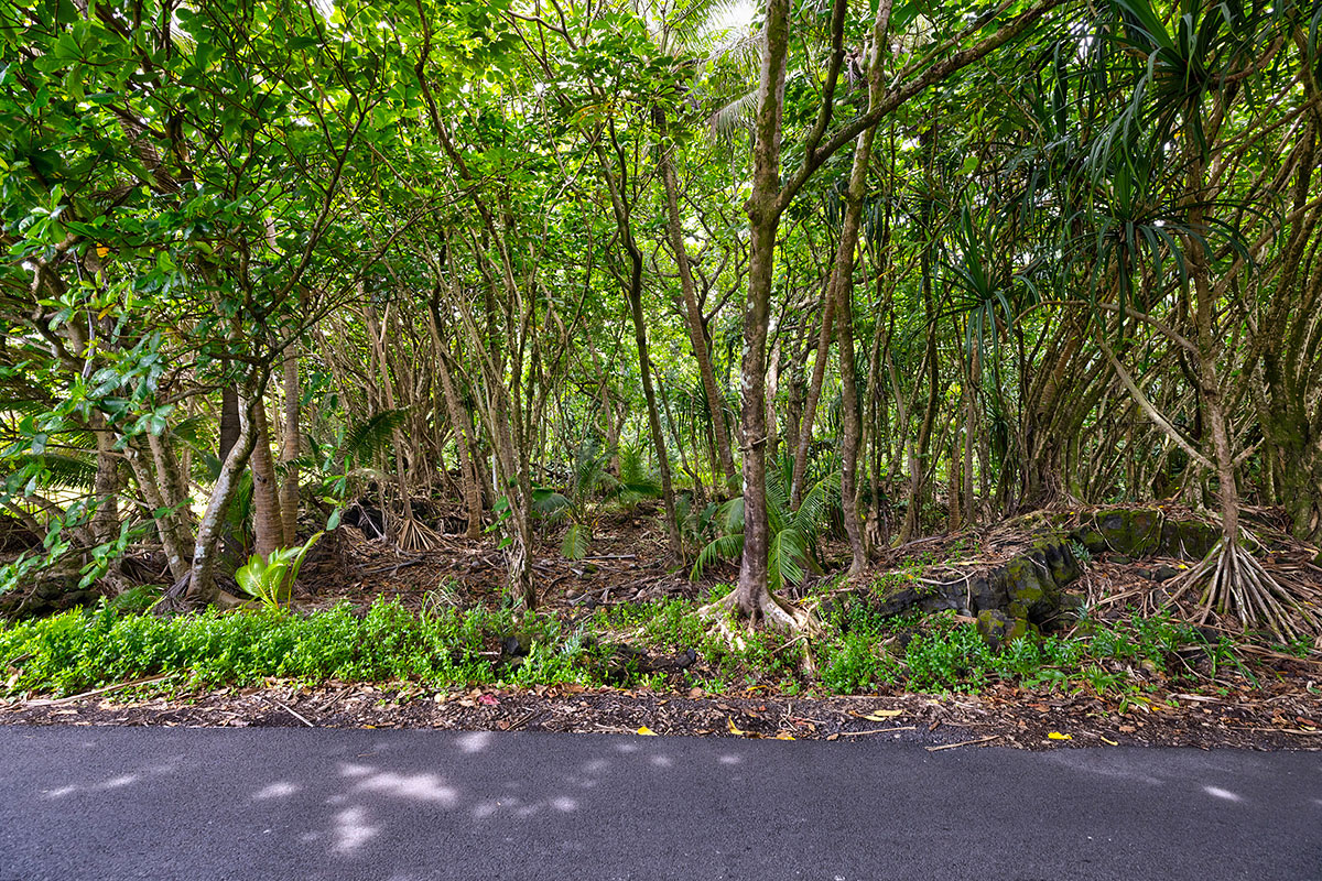 81 Government Beach Road Pahoa, HI 96778 - Photo 8 of 30