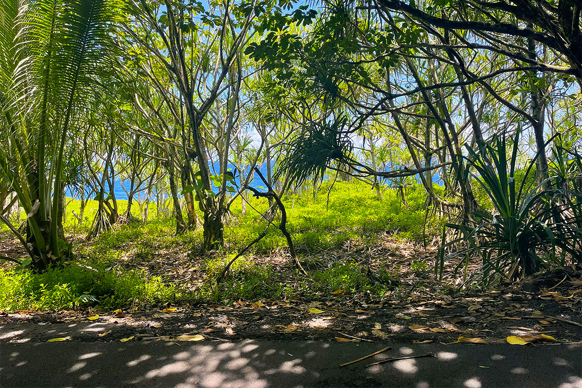 81 Government Beach Road Pahoa, HI 96778 - Photo 9 of 30
