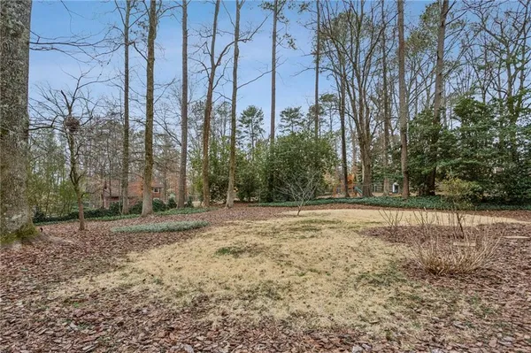 a view of a yard with trees