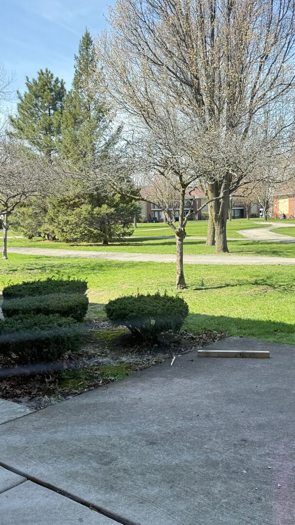 1119 East Algonquin Road, Unit 2 Arlington Heights, IL 60005 - Photo 14 of 30 a view of a park with large trees