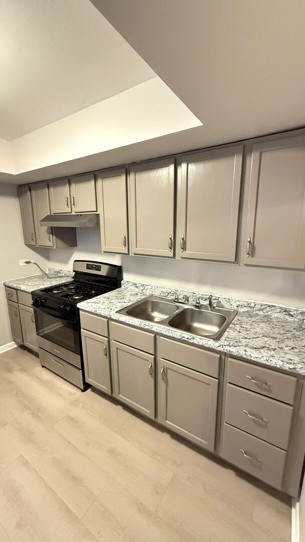 1119 East Algonquin Road, Unit 2 Arlington Heights, IL 60005 - Photo 17 of 30 a kitchen with stainless steel appliances granite countertop a stove a sink and a microwave