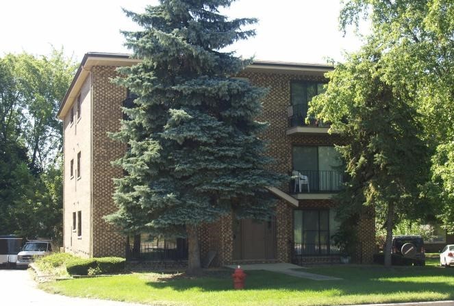a view of a house with a yard and large tree