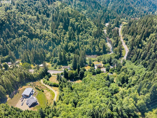 a view of a garden with a tree