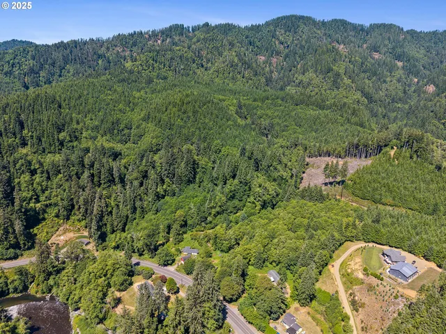 a view of a lush green forest with trees in the background
