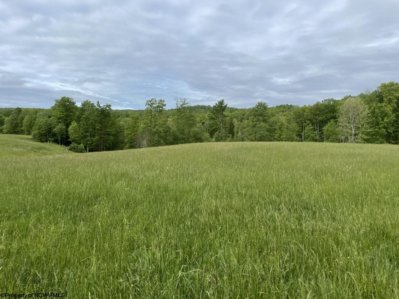 1200 Sand Bank Road Fairmont, WV 26554 - Photo 2 of 30 Gallery Image 2