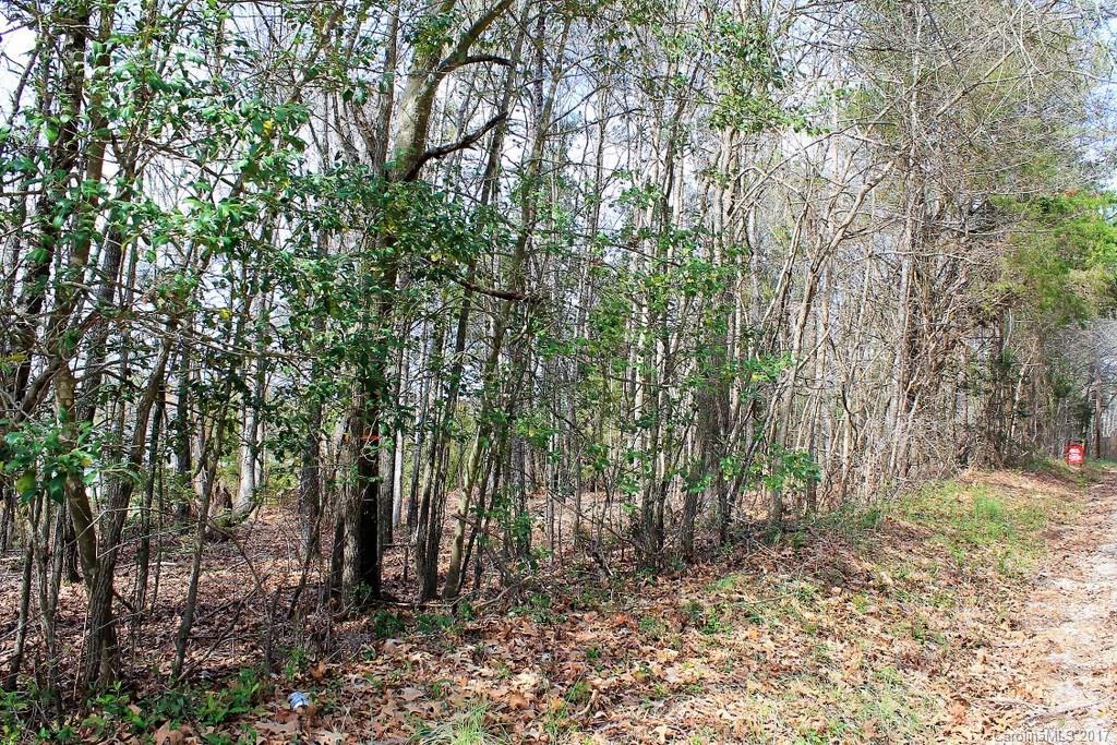 3 South Van Wyck Road Lancaster, SC 29720 - Photo 3 of 8 a view of forest