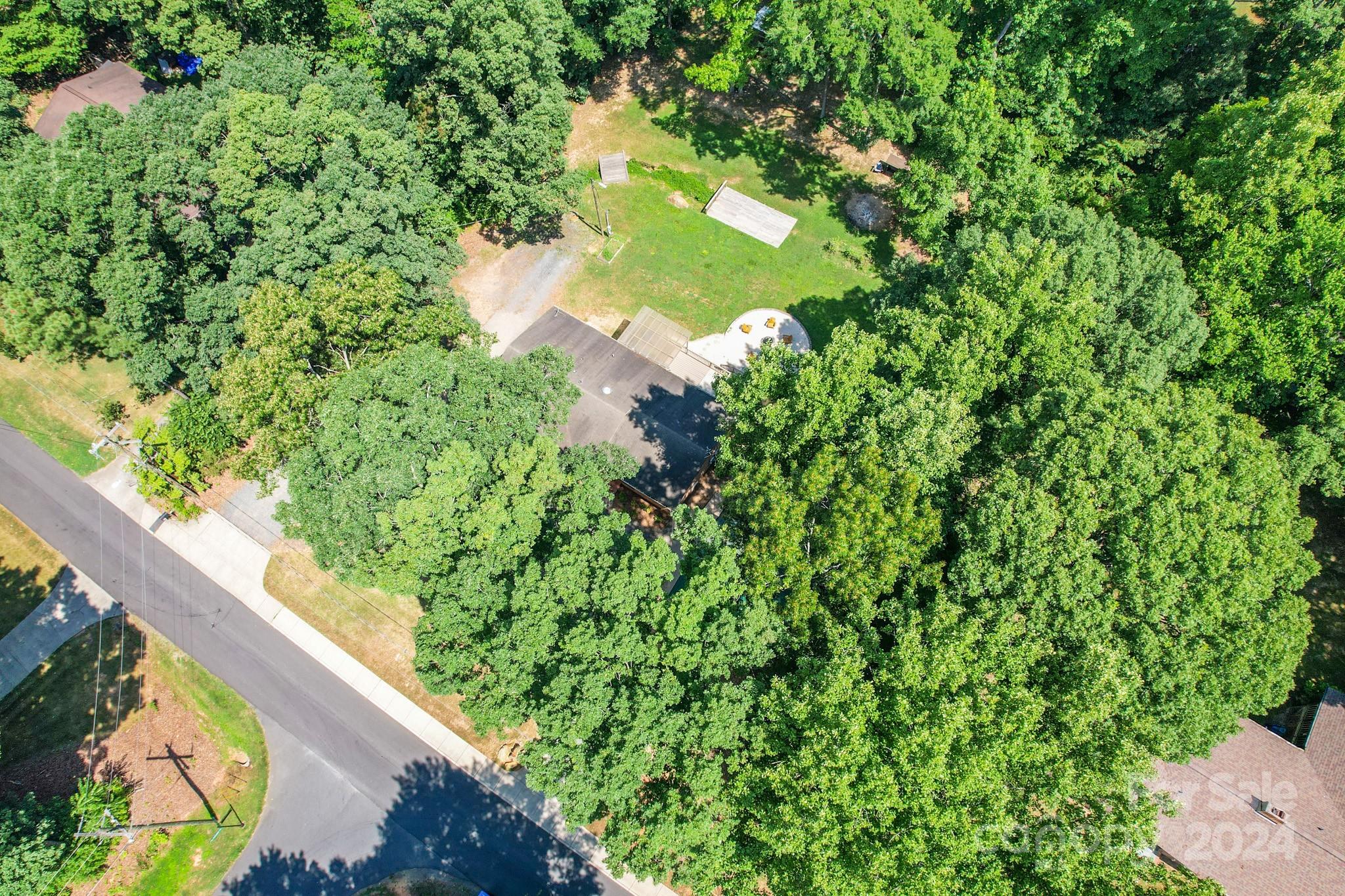 202 Smith Street Locust, NC 28097 - Photo 41 of 42 a close up of a tree in a garden