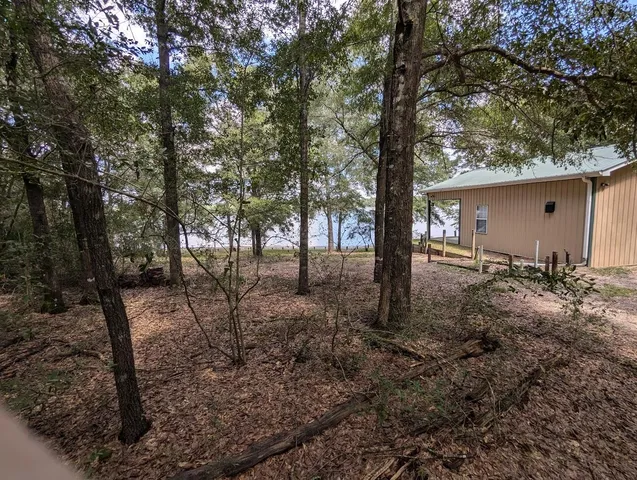 a view of backyard with green space