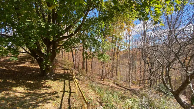 a backyard of a house