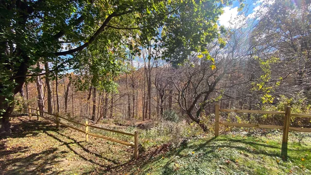 a view of a backyard of the house