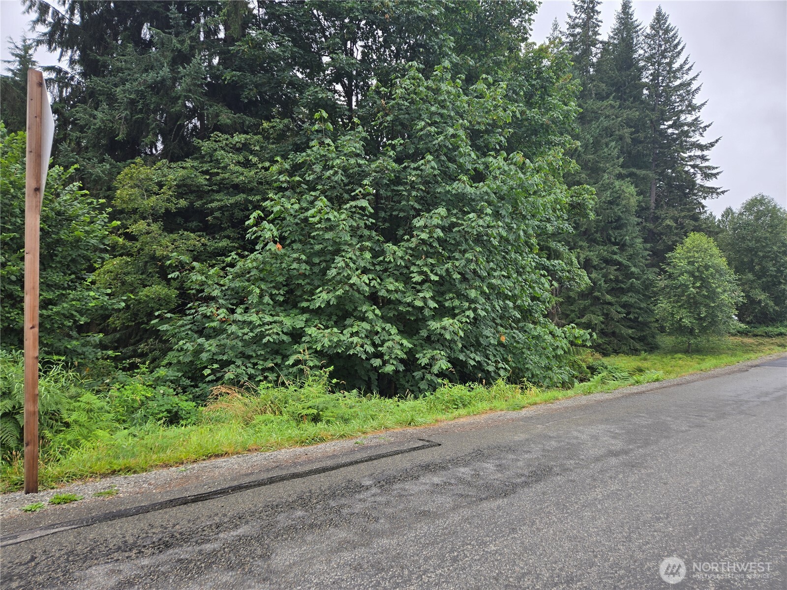 32609 Northeast 195th Street Duvall, WA 98019 - Photo 11 of 24 a view of a garden with plants