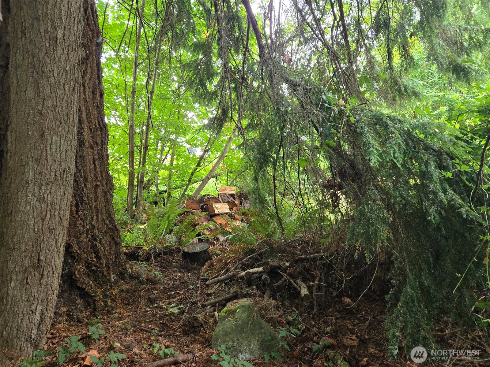 32609 Northeast 195th Street Duvall, WA 98019 - Photo 13 of 24 a view of a garden