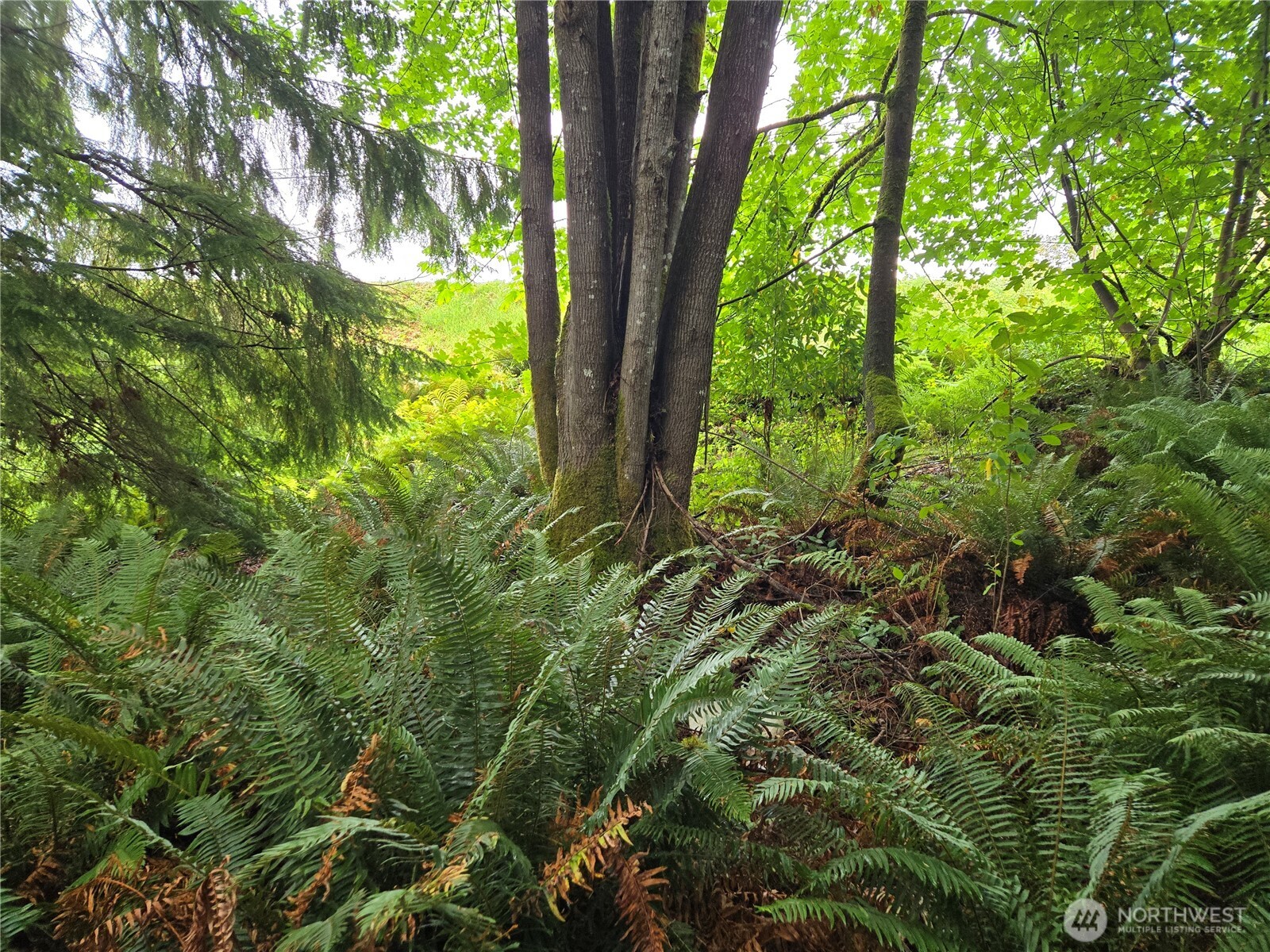 32609 Northeast 195th Street Duvall, WA 98019 - Photo 15 of 24