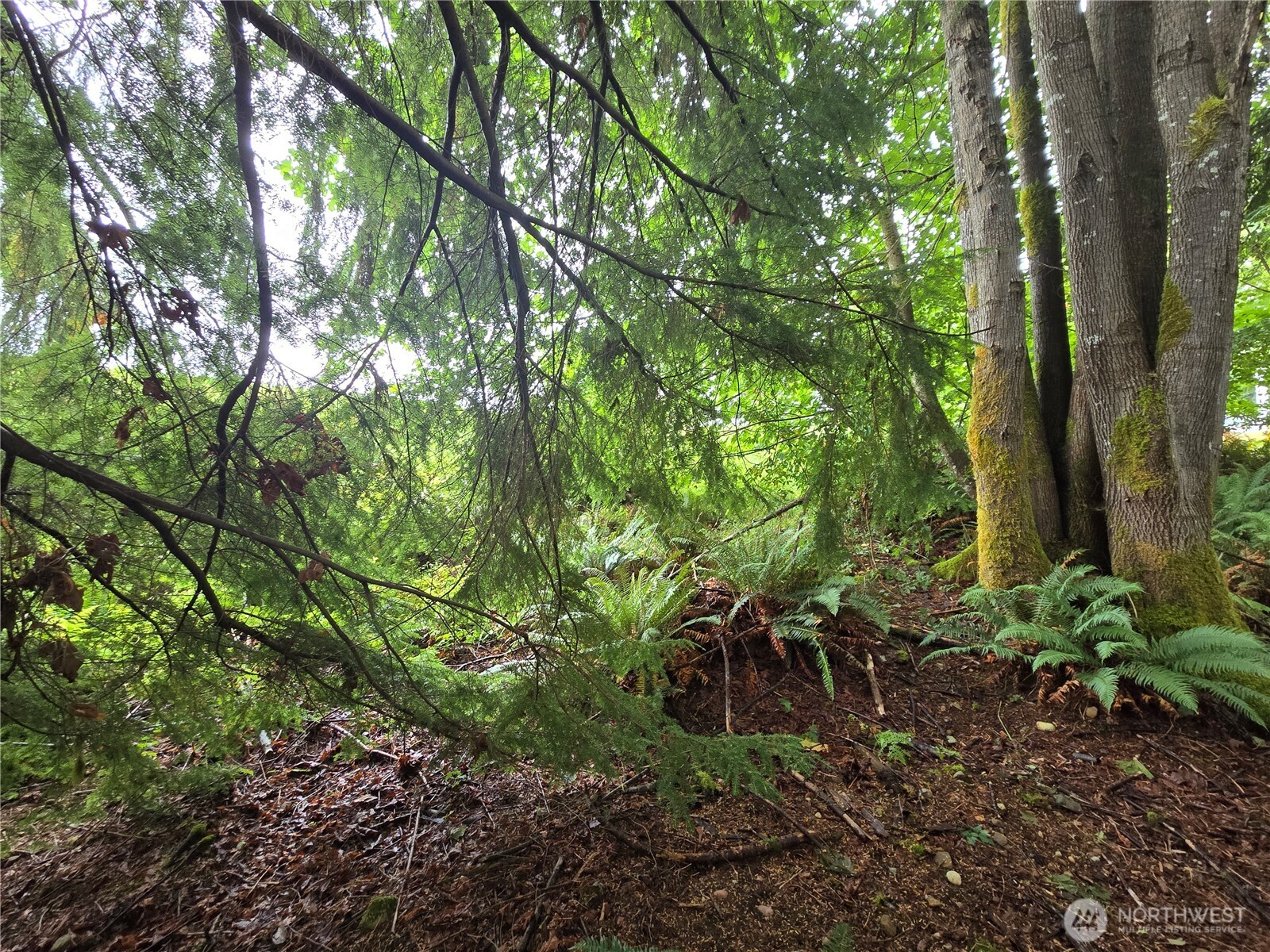 32609 Northeast 195th Street Duvall, WA 98019 - Photo 19 of 24