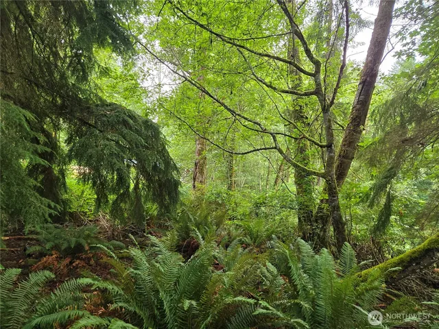 a close up of a plant