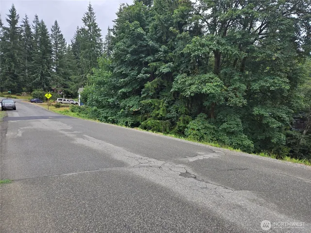 a view of a road from a garden