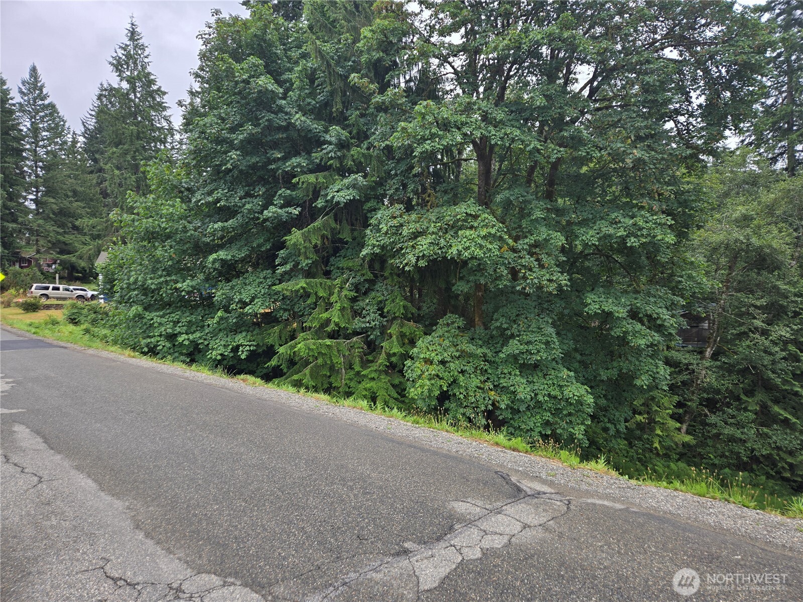 32609 Northeast 195th Street Duvall, WA 98019 - Photo 9 of 24 a view of a yard with a street