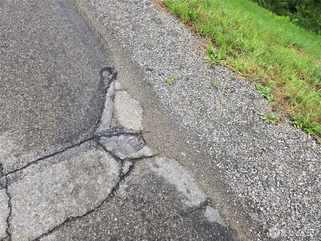 a view of a garden with plants
