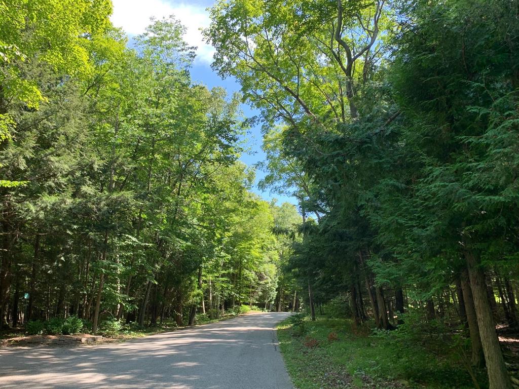 German Road Ephraim, WI 54211 - Photo 1 of 1