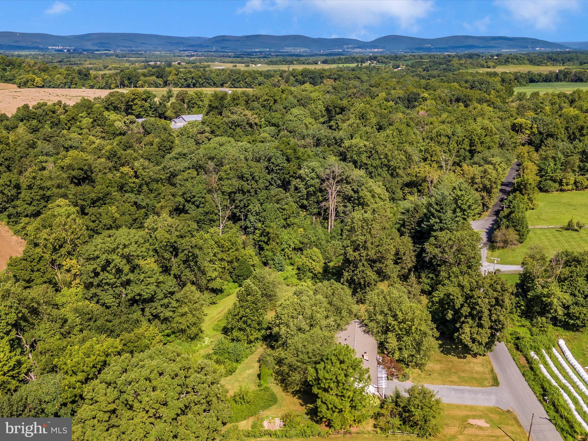12436 Legore Road Keymar, MD 21757 - Photo 70 of 72 a view of a lush green field