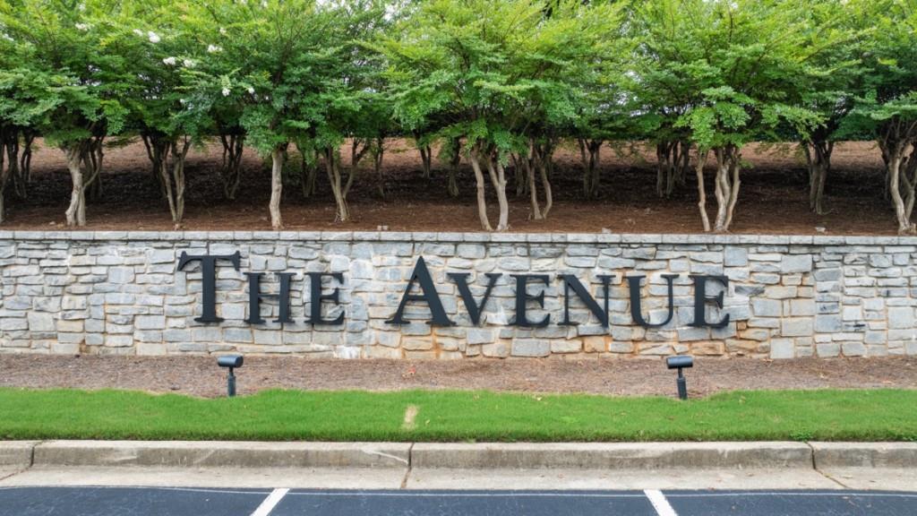 103 Cyrilla Walk Dallas, GA 30132 - Photo 45 of 46