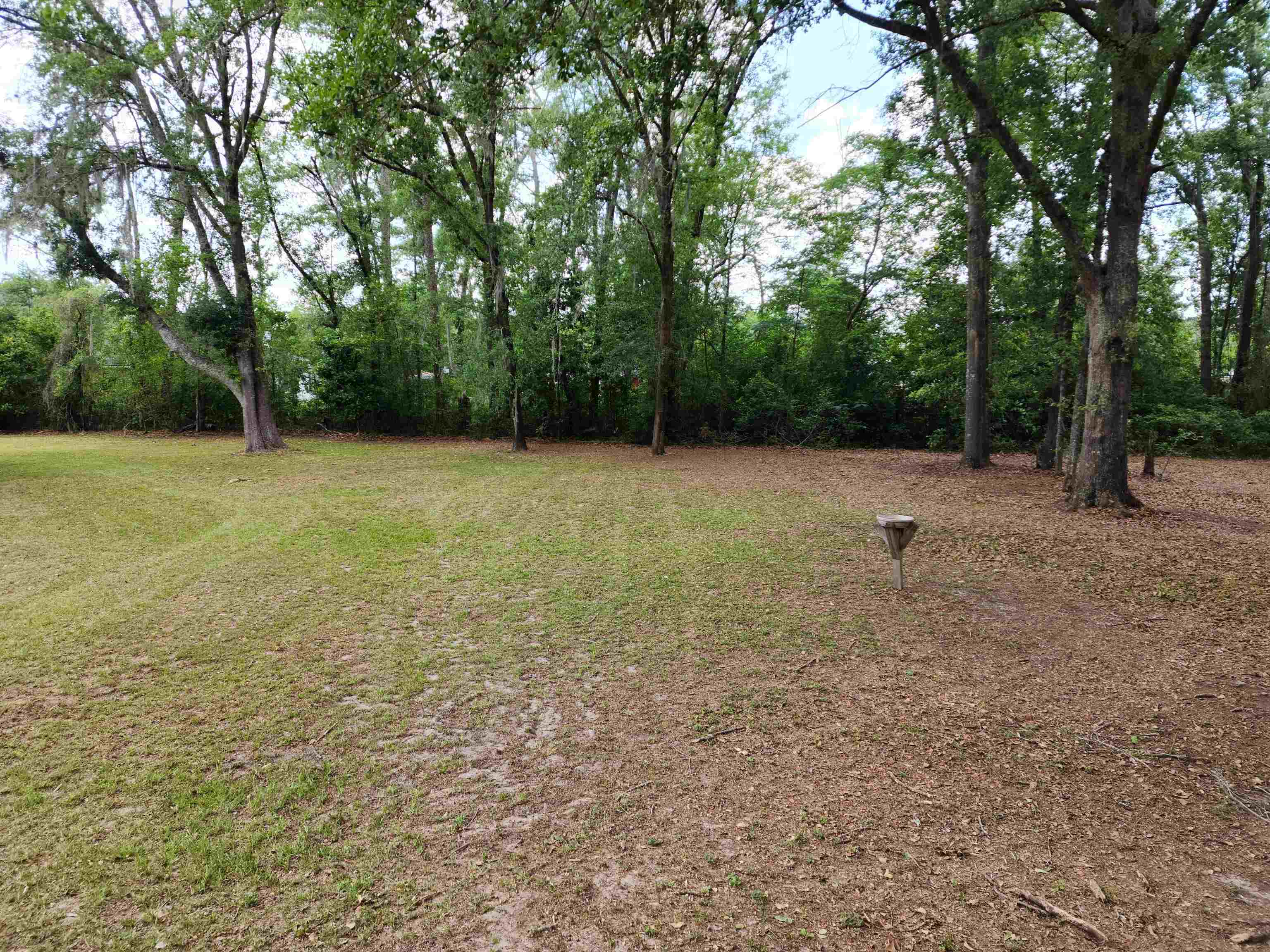 8431 Walden Road Jacksonville, FL 32244 - Photo 10 of 29 a view of a field with trees in the background