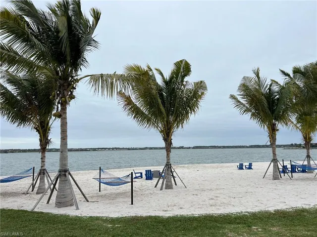 an ocean view with palm trees