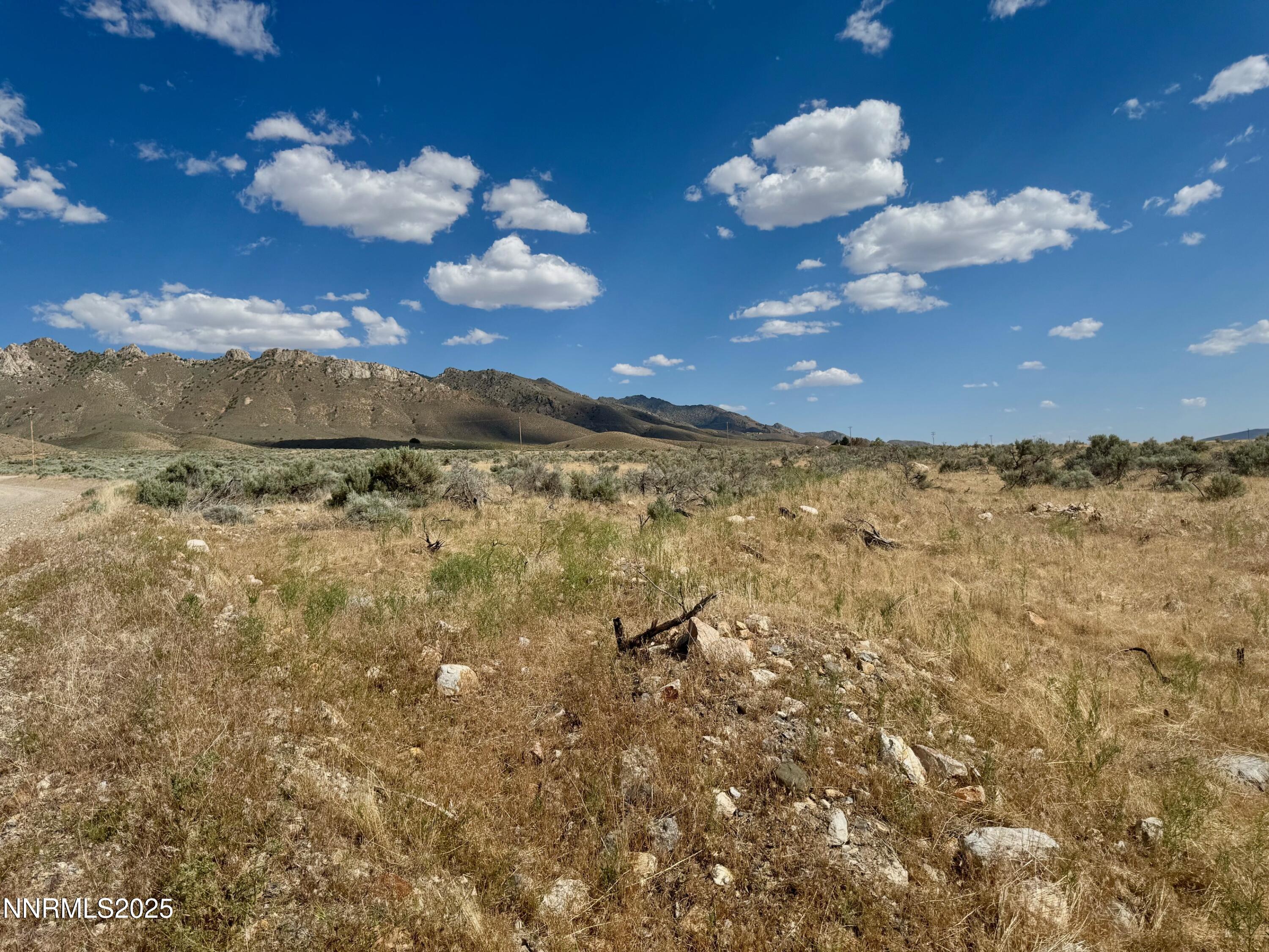 17180 Windsor Lane Lovelock, NV 89419 - Photo 8 of 21 IMG_1111