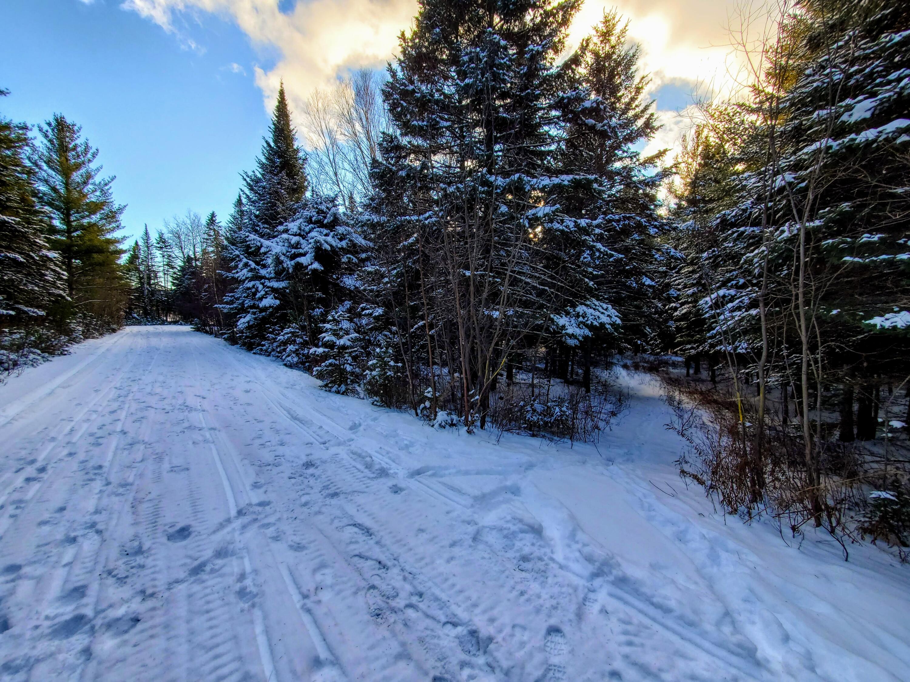 Pine Grove Lane