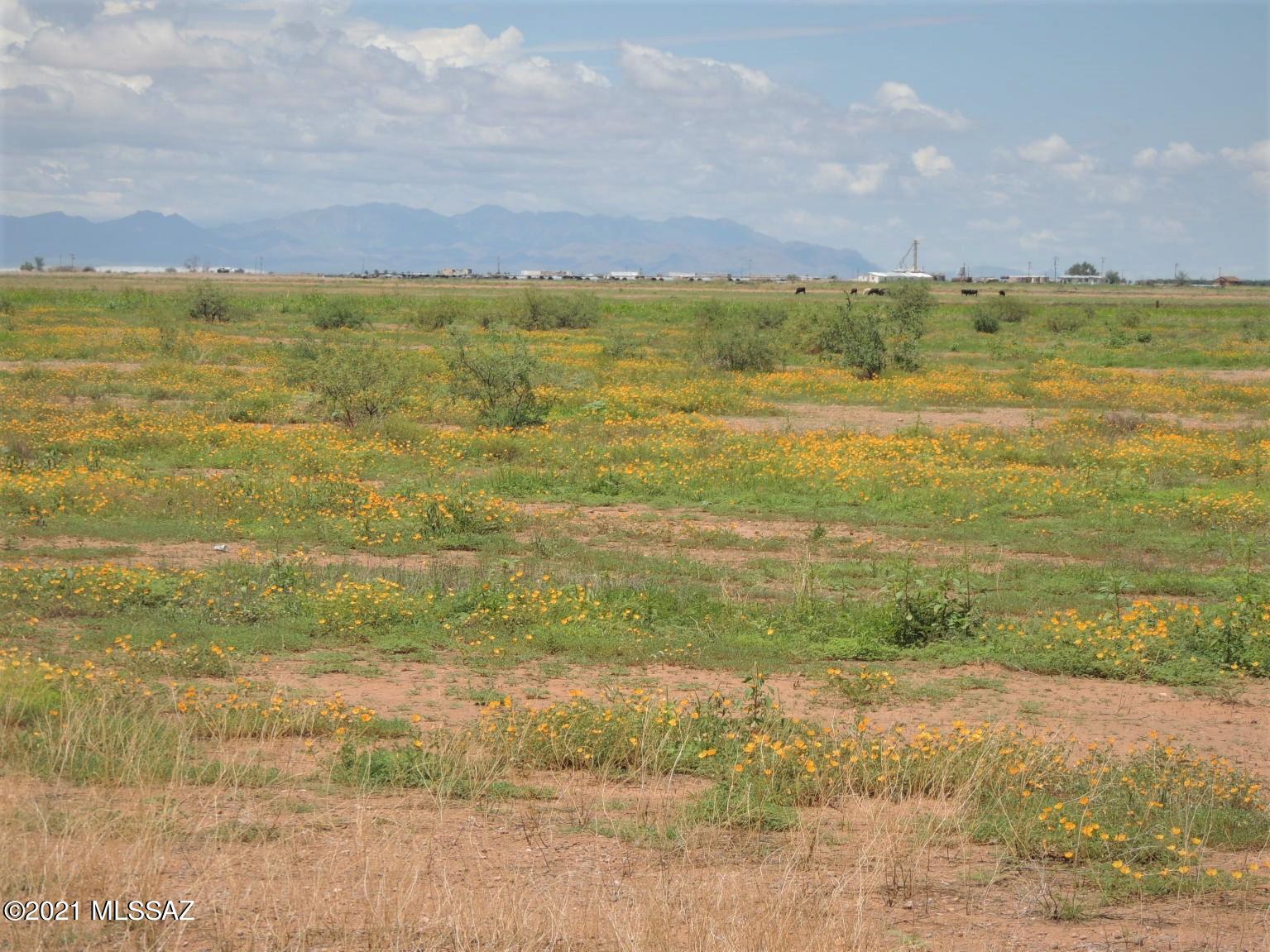 Tbd East Parker Ranch Road, Unit 5 Willcox, AZ 85643 - Photo 20 of 30