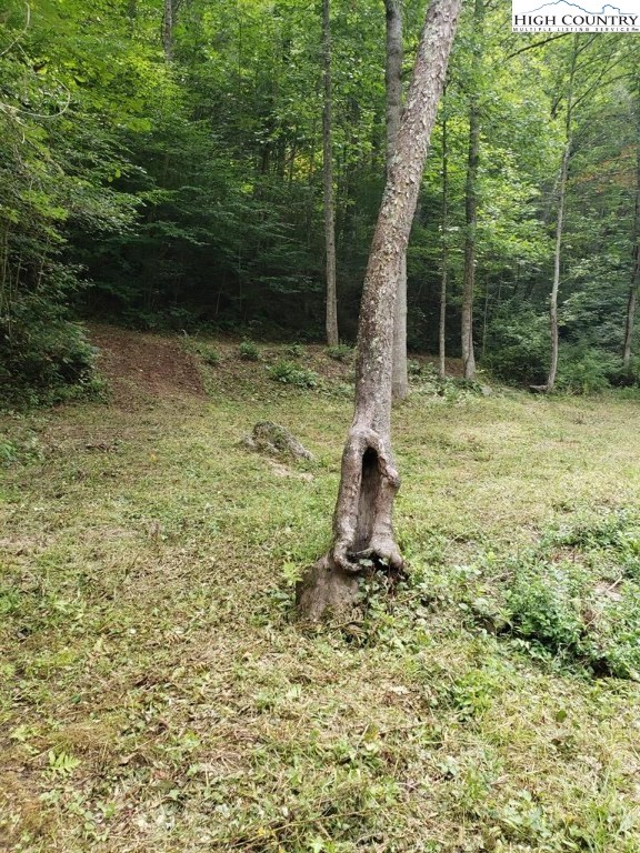 Turkey Knob Road Independence, VA 24348 - Photo 10 of 13 a backyard of a house with lots of green space