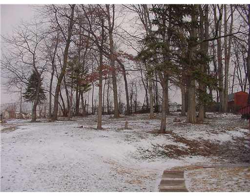 1010 Wren Drive McKees Rocks, PA 15136 - Photo 11 of 15 Land. Large back yard