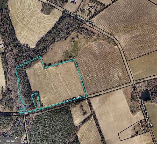 -lot 3 Pulaski Road Statesboro, GA 30458 - Photo 2 of 2 view of a backyard