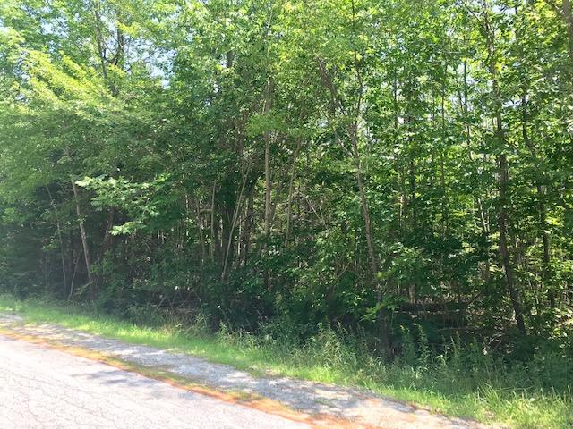 0 Front Ridge Road Penobscot, ME 04476 - Photo 13 of 14 IMG_3477