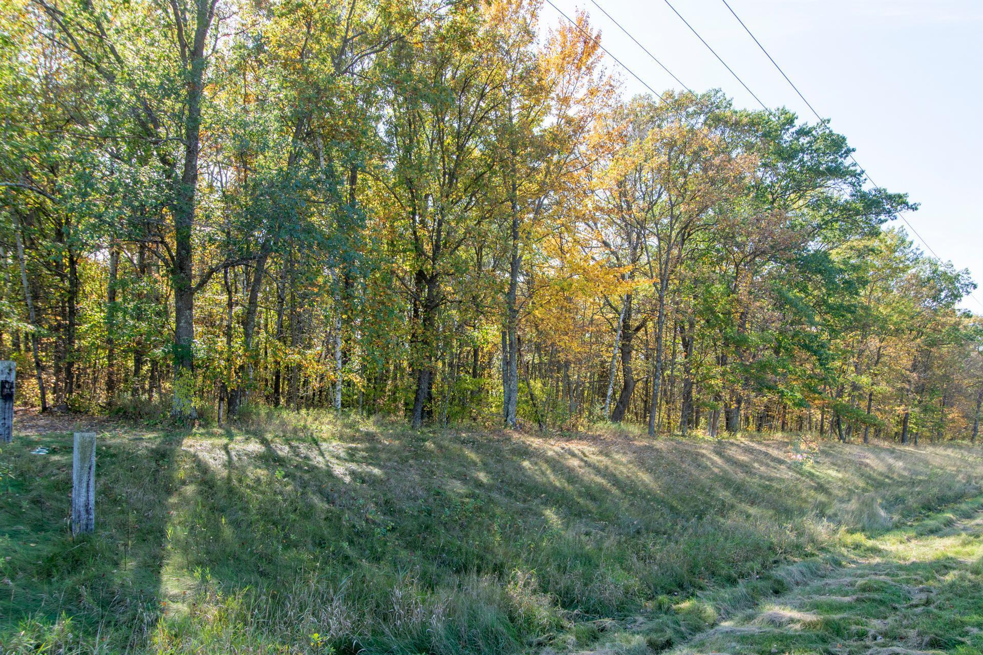 2 County Road 2 Brainerd, MN 56401 - Photo 15 of 20