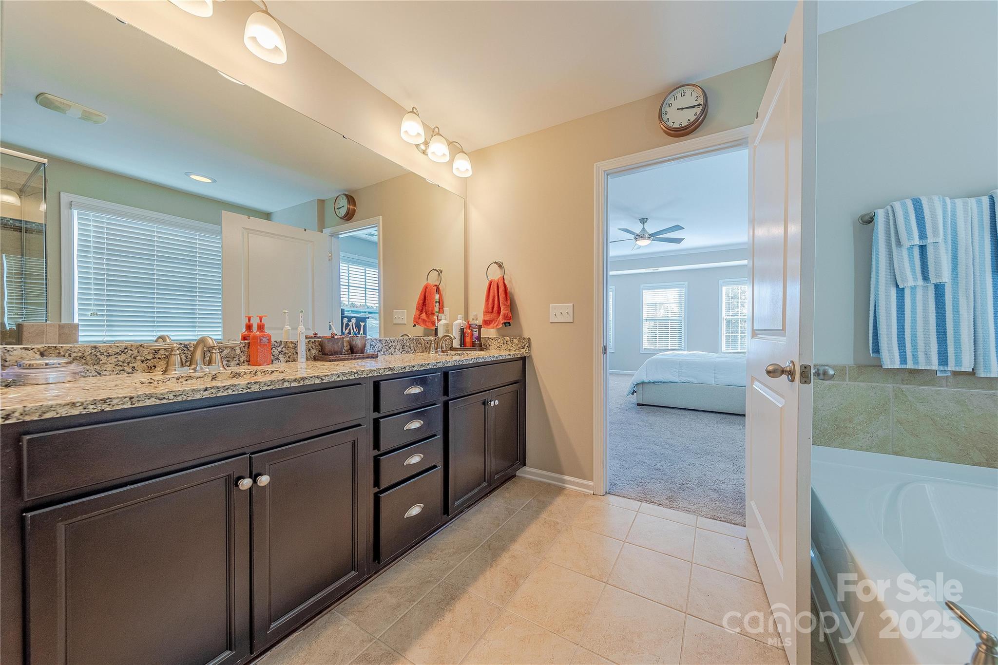 8344 Dallas Bay Road Charlotte, NC 28278 - Photo 19 of 25 a spacious bathroom with a granite countertop sink mirror and a bathtub