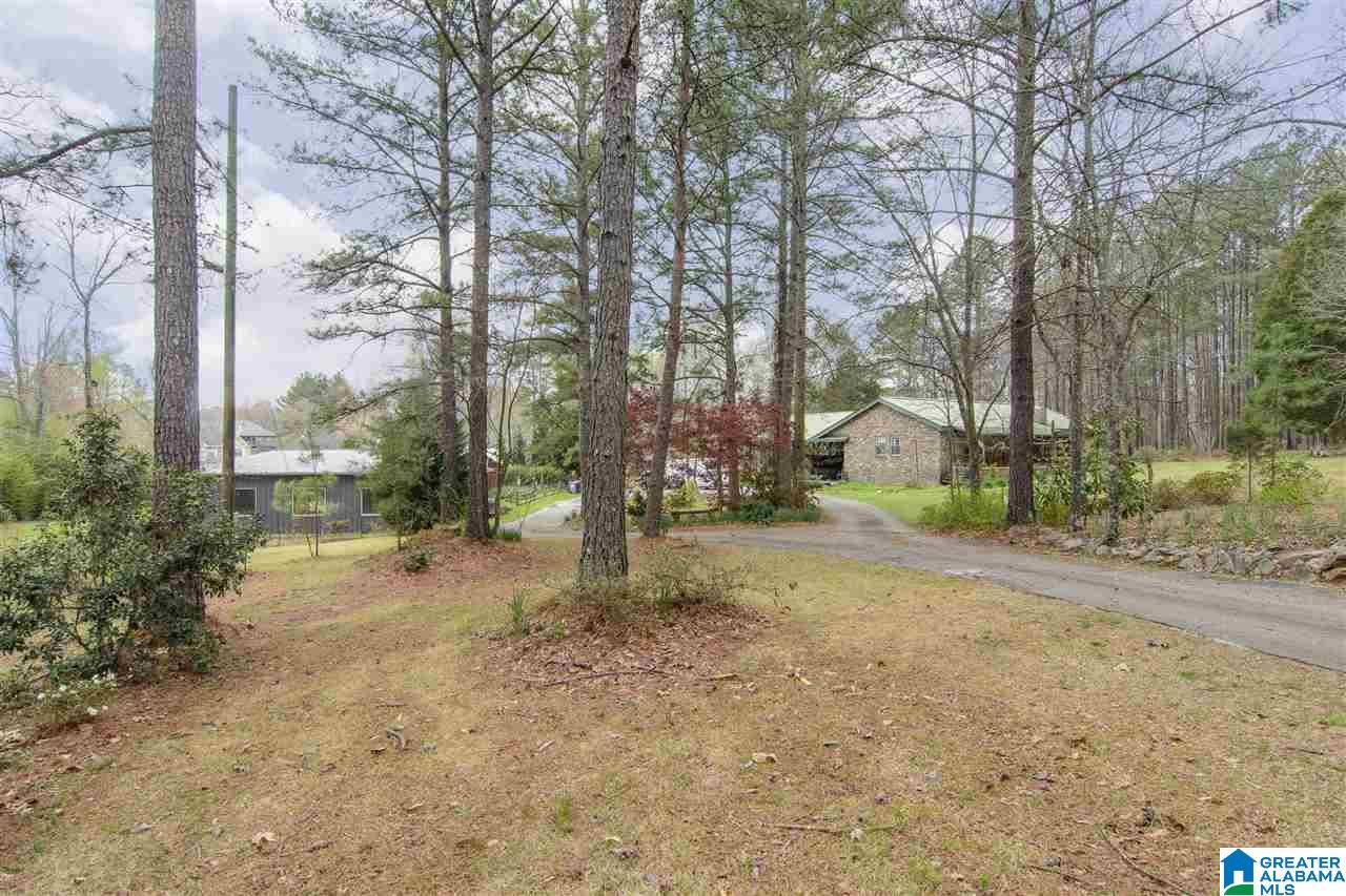 331 Highway 36 Chelsea, AL 35043 - Photo 26 of 36