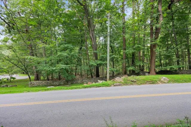 a view of a lush green forest