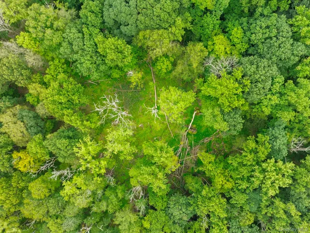 an aerial view of residential houses with outdoor space and trees