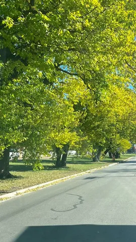 $379,900 | 1201 South 15th Avenue, Maywood, IL 60153