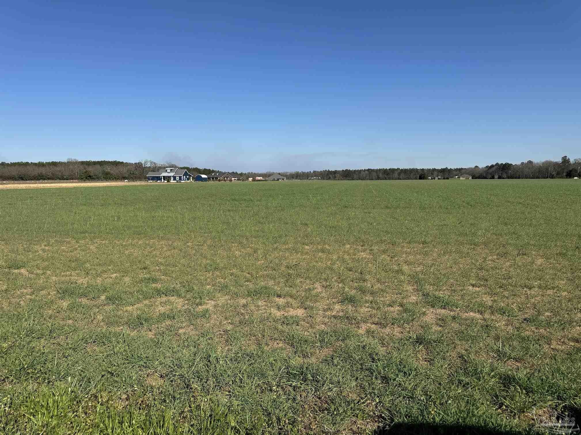 Lot 3 Salter Road Pace, FL 32571 - Photo 3 of 3