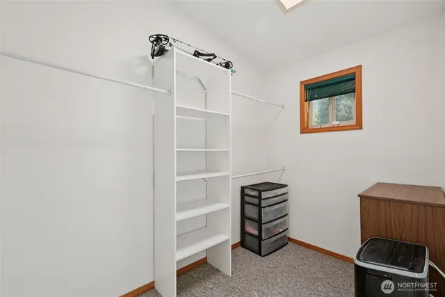 a view of a field with plants and trees