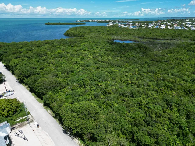 a view of a lake with a big yard